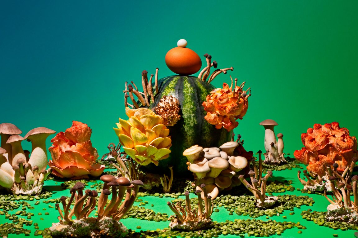 immagine articolo La scrittura sulla natura (e sulla scienza)