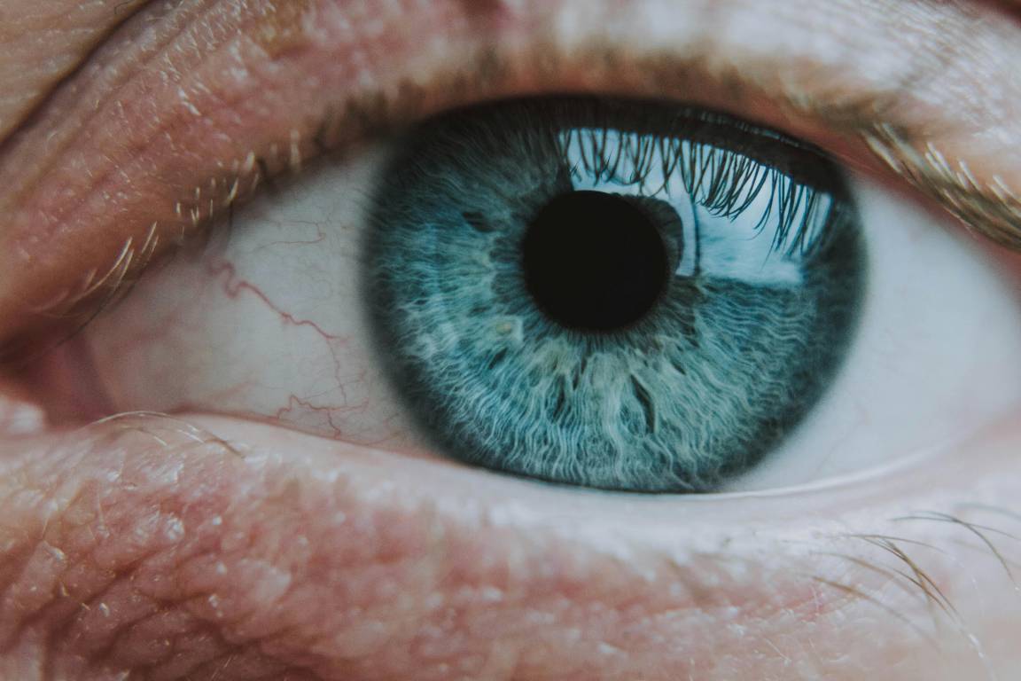 immagine articolo Human Factor vs Artificial Intelligence