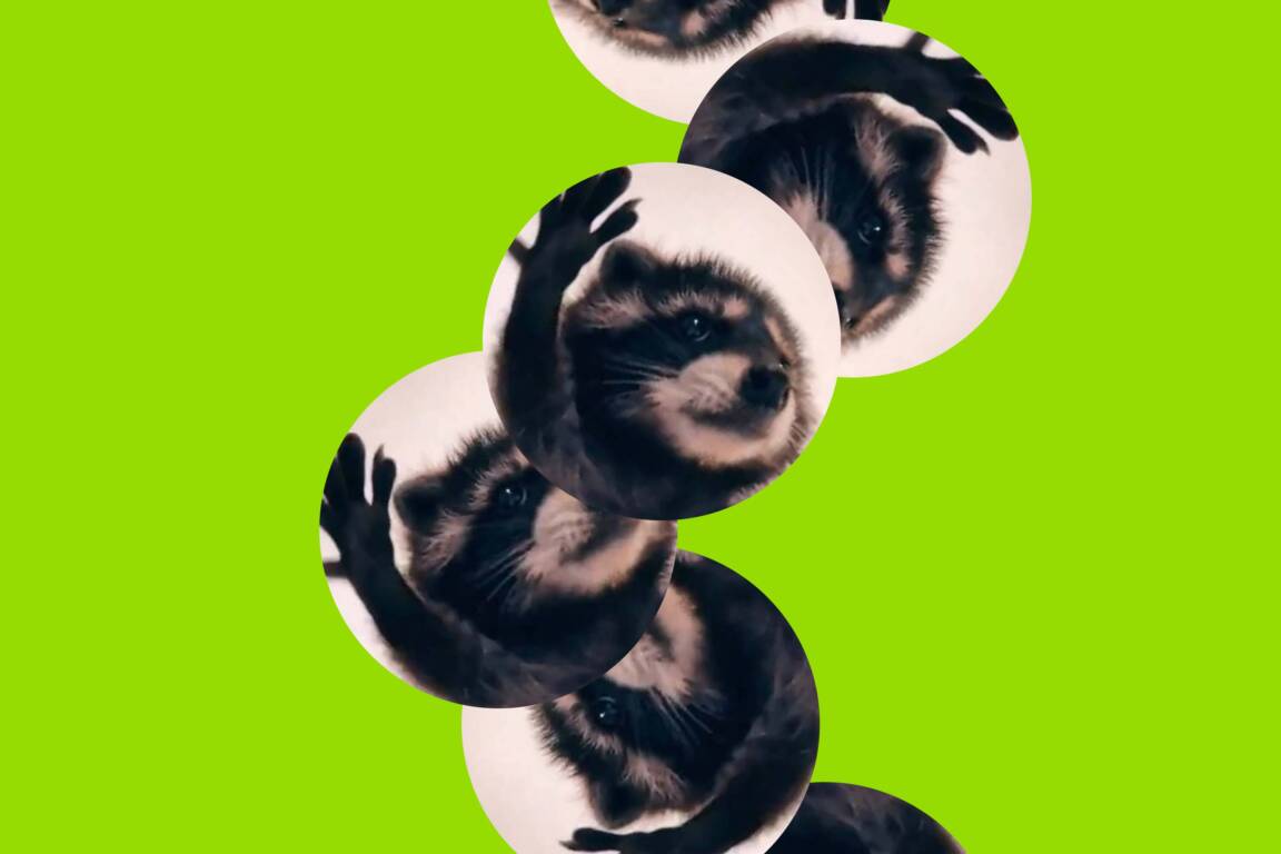 immagine articolo Meme is the new videoclip. La musica su TikTok e la catena infinita del content on content